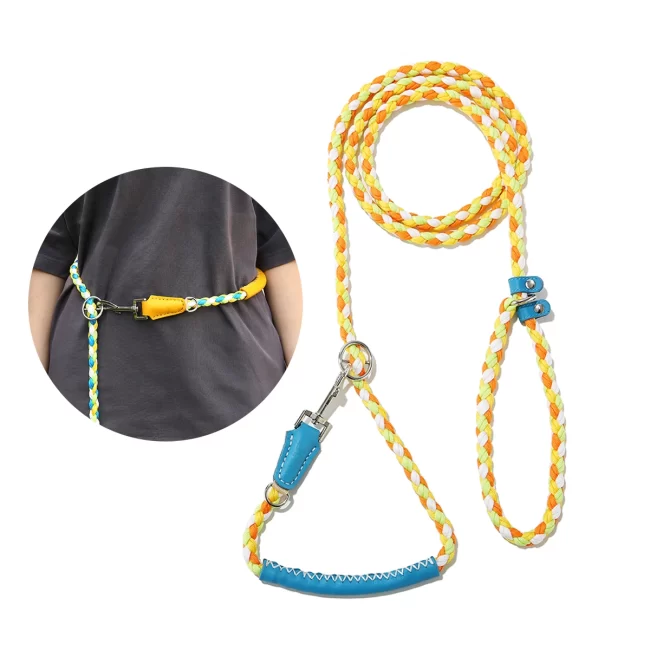 UFBemo Pet Supplies Factory Redesign Best Selling Dog Slip Lead for Training Round Rope Dog Training Collar Leash Pet Leash