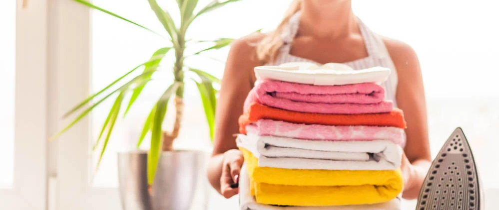 Electric Iron Portable Mini Garment Steamer Steam Iron For Clothing Iron Adjustable Ceramic Soleplate Iron For Ironing Sonifer - Image 10